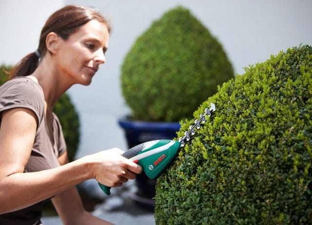Entra in giardino la nuova generazione di elettroutensili Isio Bosch 3