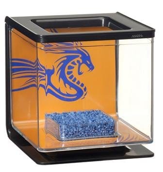 Il pesce combattente trova casa 4