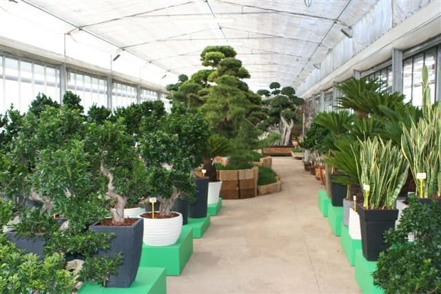 Florbusiness 2010: un successo annunciato 4