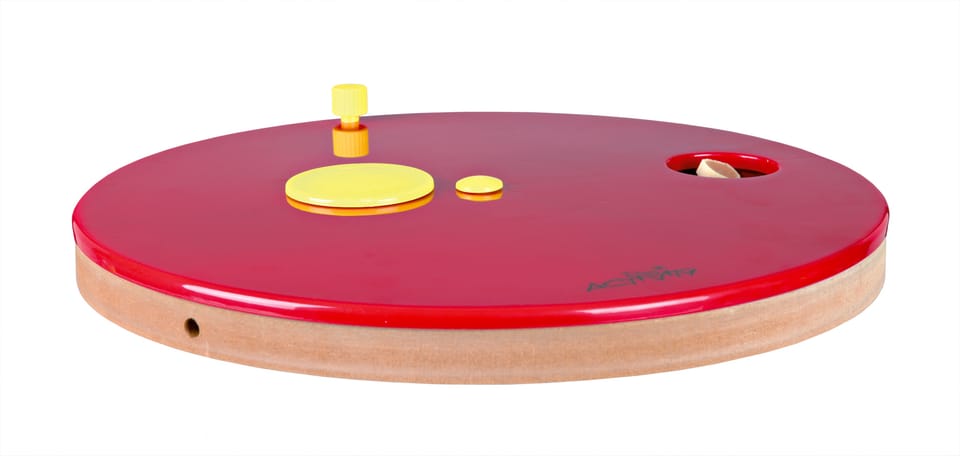 Dog Activity, i giochi per i cani 3