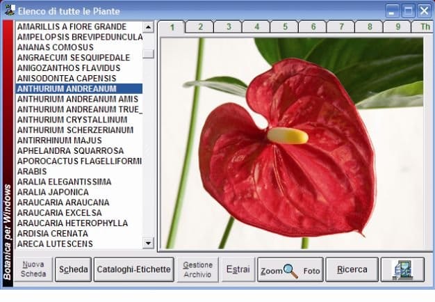Florinfo: l’informatica per il verde 10