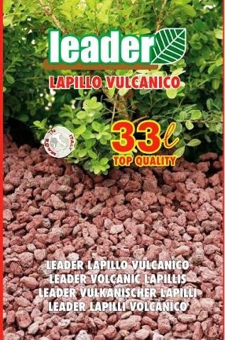 Ecologia vulcanica 2