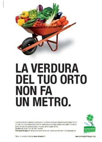 “La verdura del tuo orto non fa un metro” 2