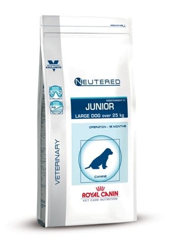 Ad hoc per cani sterilizzati 5