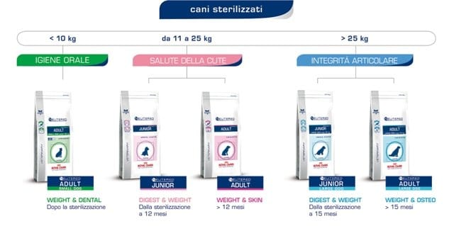 Ad hoc per cani sterilizzati 7