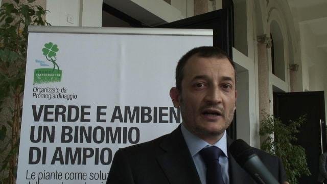 Le piante combattono l'inquinamento 2