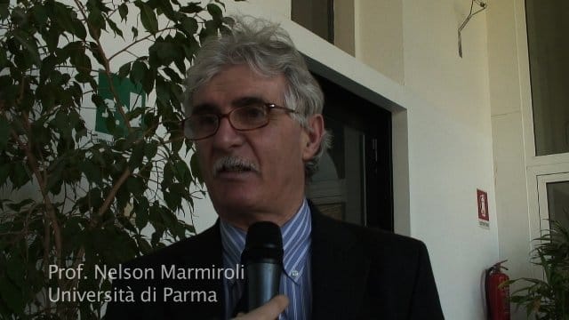Le piante combattono l'inquinamento 4