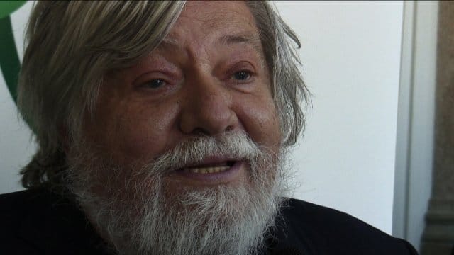 Le piante combattono l'inquinamento 5