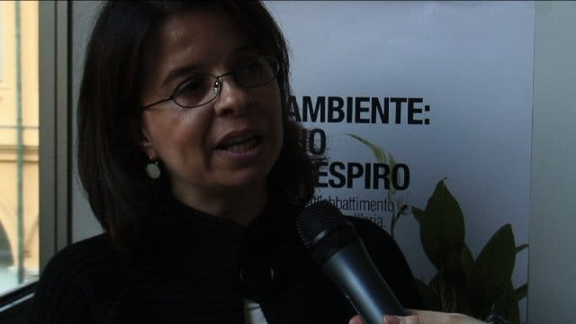 Le piante combattono l'inquinamento 6