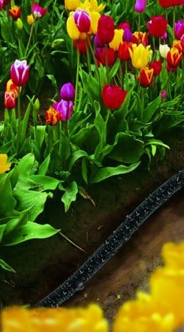Ecodrop: il tubo ecologico che riduce il consumo d'acqua 2