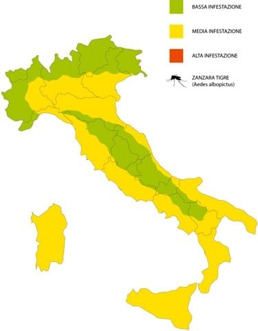 Vape Foundation studia le zanzare 2