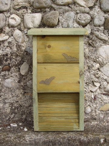 La nuova casa del pipistrello 2