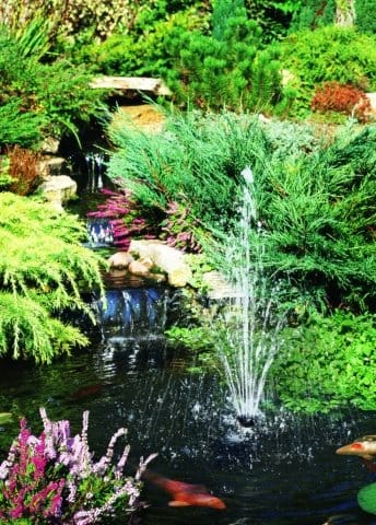 Laguna: il laghetto che rende il giardino perfetto 3