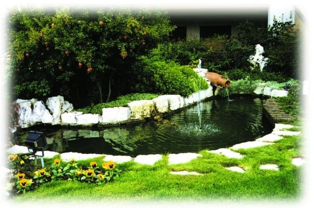 Laguna: il laghetto che rende il giardino perfetto 4
