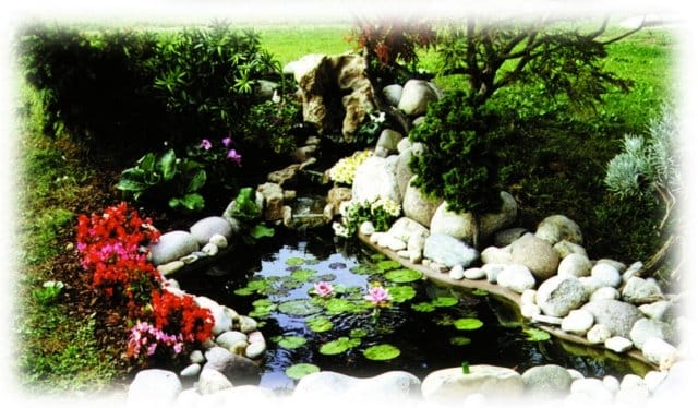 Laguna: il laghetto che rende il giardino perfetto 5