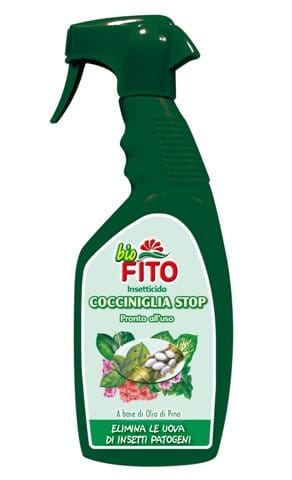 Fito dice Stop ai “nemici” dell’orto 3