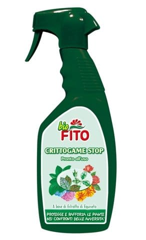 Fito dice Stop ai “nemici” dell’orto 4