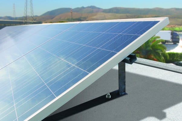 Il sole bacia Tecfi 2