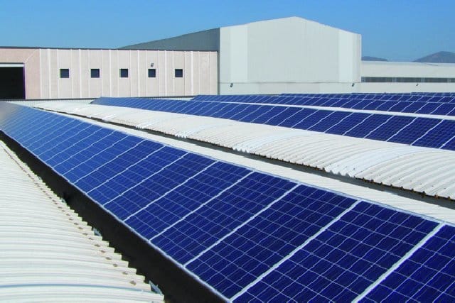 Il sole bacia Tecfi 5