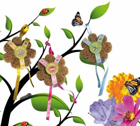 Con Eugea la green economy entra nel garden 5