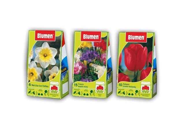 L’autunno di Blumen si colora di bulbi 2