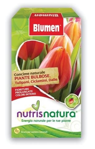 L’autunno di Blumen si colora di bulbi 3
