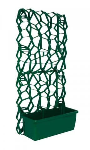 Il muro si tinge di verde 2
