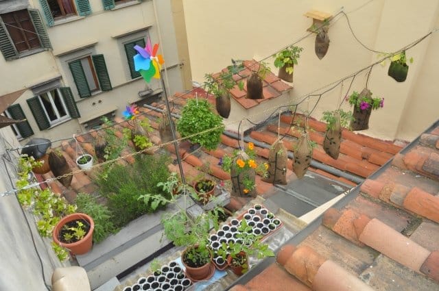 Quando il gardening diventa guerrilla 2