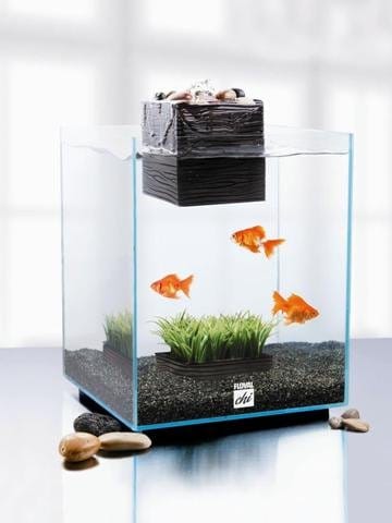 Fluval Chi: l'acquario che arreda 2