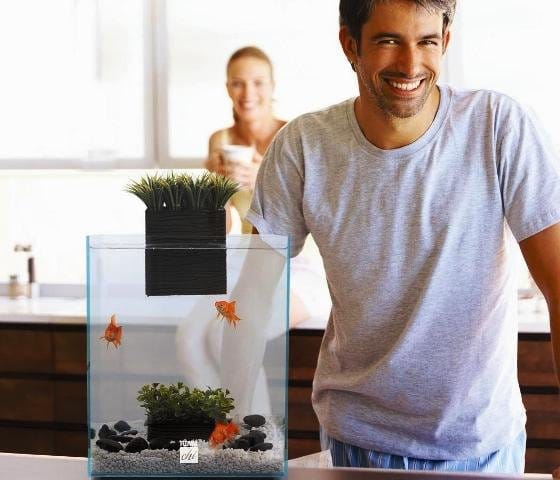 Fluval Chi: l'acquario che arreda 3