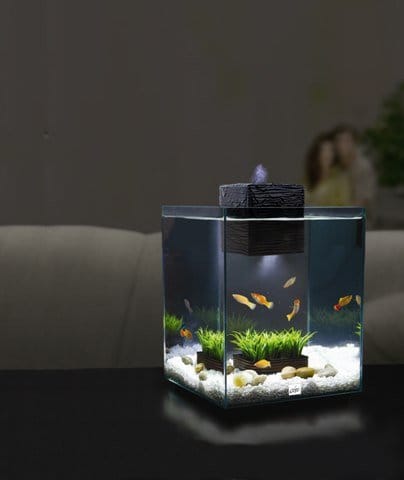 Fluval Chi: l'acquario che arreda 5