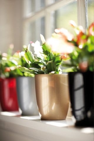 Elho arriva in Italia con SmartGarden 3