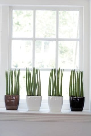 Elho arriva in Italia con SmartGarden 4