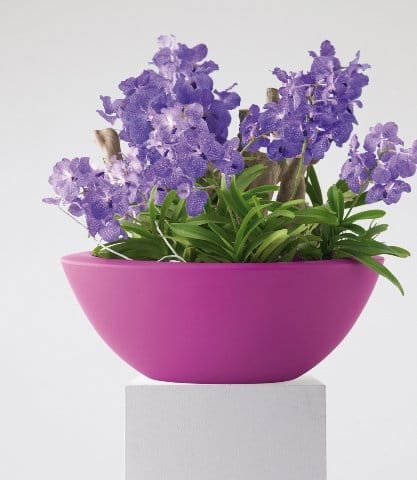 Elho arriva in Italia con SmartGarden 7