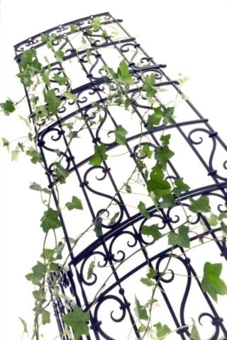 Artisti in verde 2