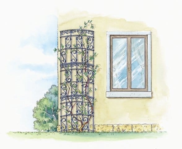 Artisti in verde 3