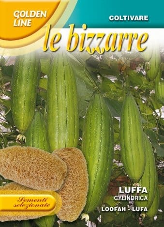 Le proposte per un 2011 in verde 3