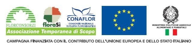 Nasce Florshow, la nuova mostra di febbraio di PadovaFiere 2