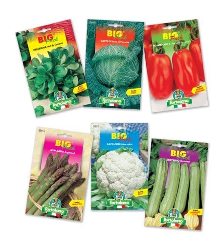 Big Pack: il classico si rinnova 4
