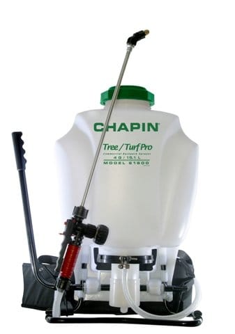 Chapin: solo per intenditori 2