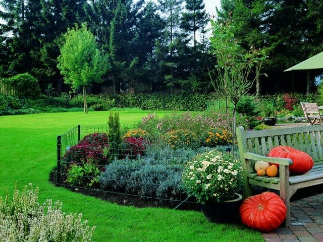 Aiuole e giardini si impreziosiscono con Luxursus 2