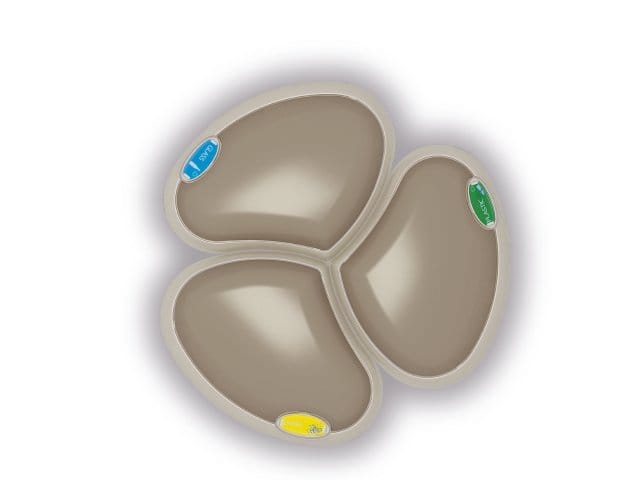 Fior di pattumiera 4