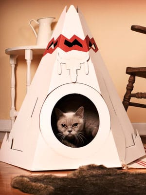 La cuccia portatile per gatti 2