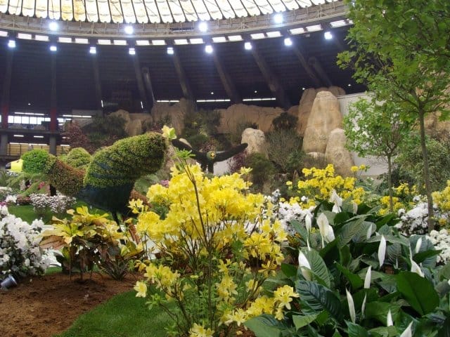 Speciale Euroflora 2011: tutte le info, le foto e i video 10