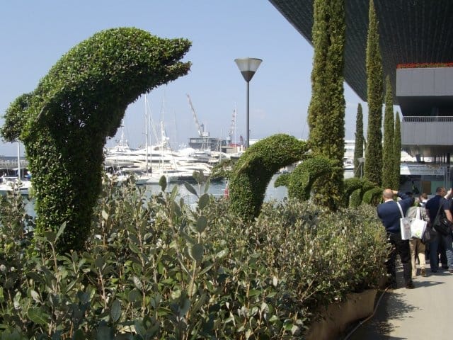 Speciale Euroflora 2011: tutte le info, le foto e i video 11