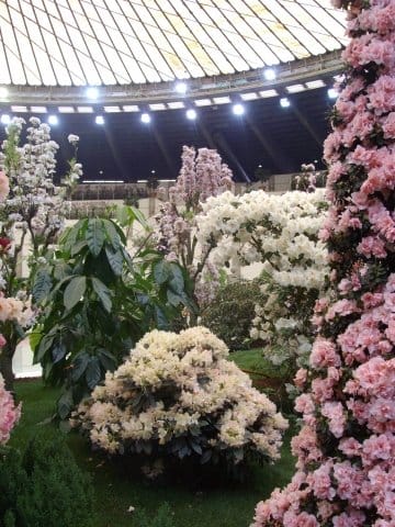 Speciale Euroflora 2011: tutte le info, le foto e i video 12