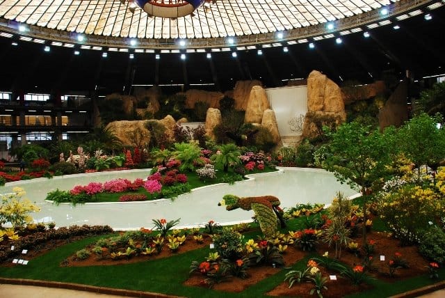 Speciale Euroflora 2011: tutte le info, le foto e i video 14