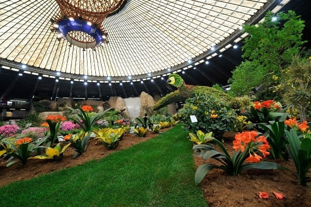Speciale Euroflora 2011: tutte le info, le foto e i video 16