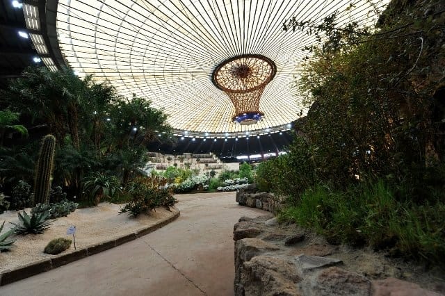 Speciale Euroflora 2011: tutte le info, le foto e i video 17