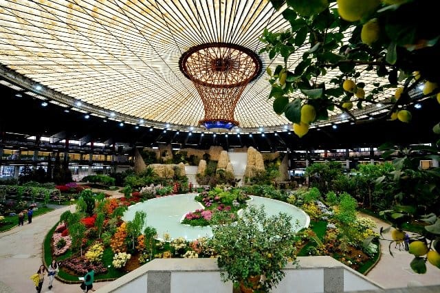 Speciale Euroflora 2011: tutte le info, le foto e i video 18